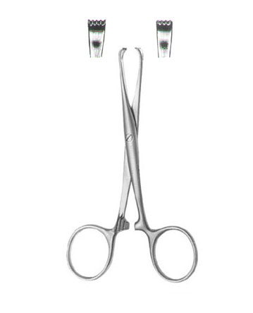 TISSUE AND ORGAN HOLDING FORCEPS